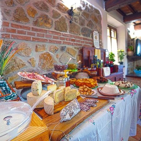 Agriturismo La Valle Degli Ulivi Semproniano Luaran gambar