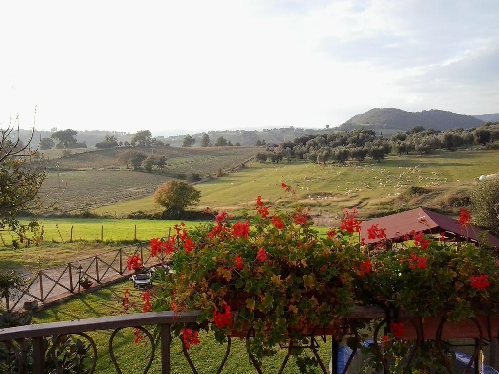 Agriturismo La Valle Degli Ulivi Semproniano Luaran gambar