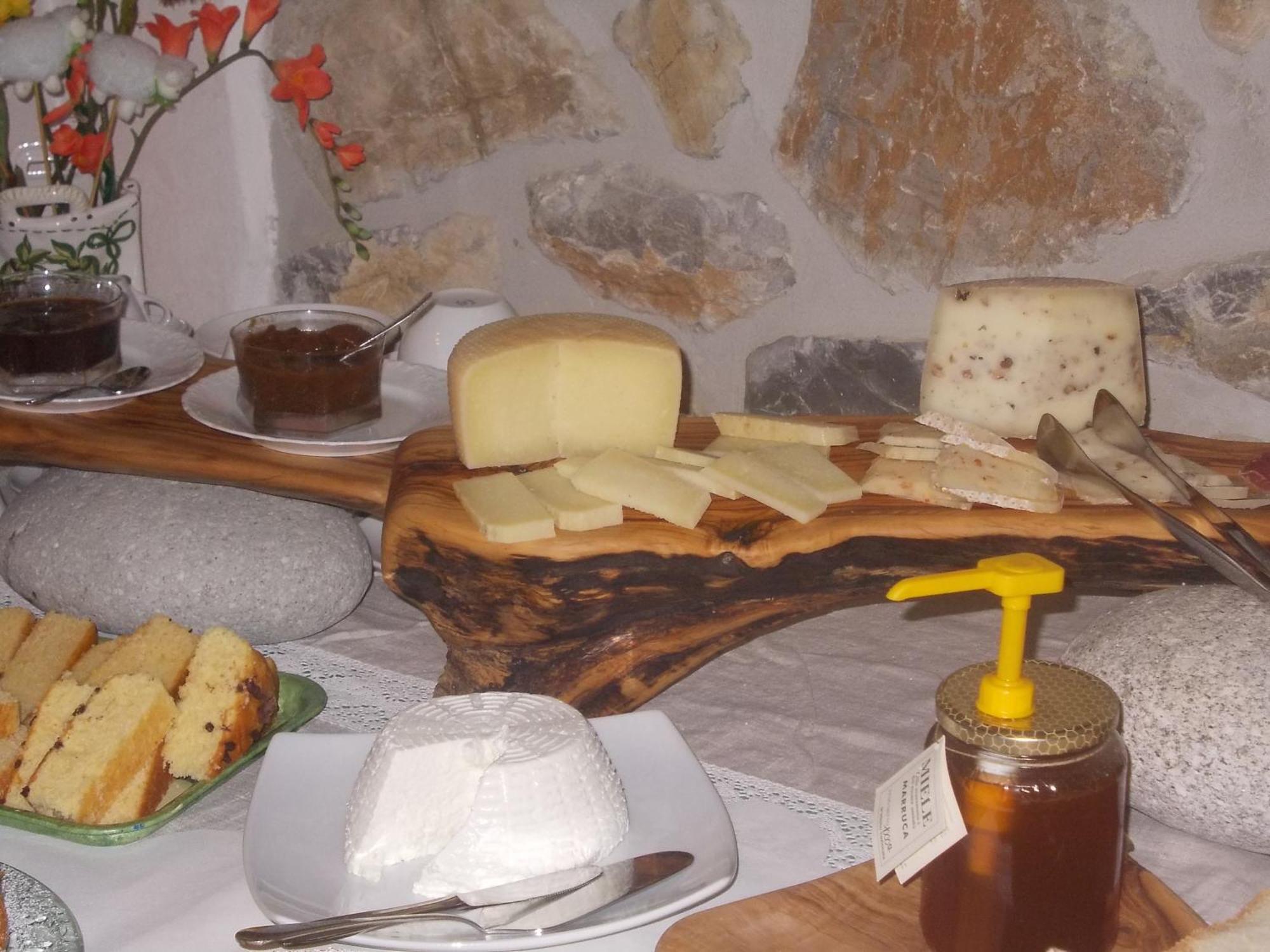 Agriturismo La Valle Degli Ulivi Semproniano Luaran gambar