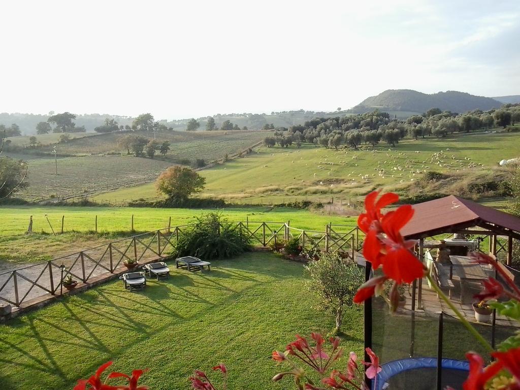 Agriturismo La Valle Degli Ulivi Semproniano Luaran gambar