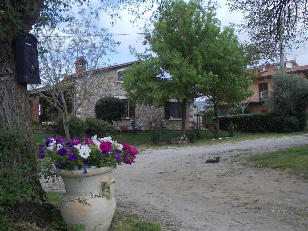 Agriturismo La Valle Degli Ulivi Semproniano Luaran gambar